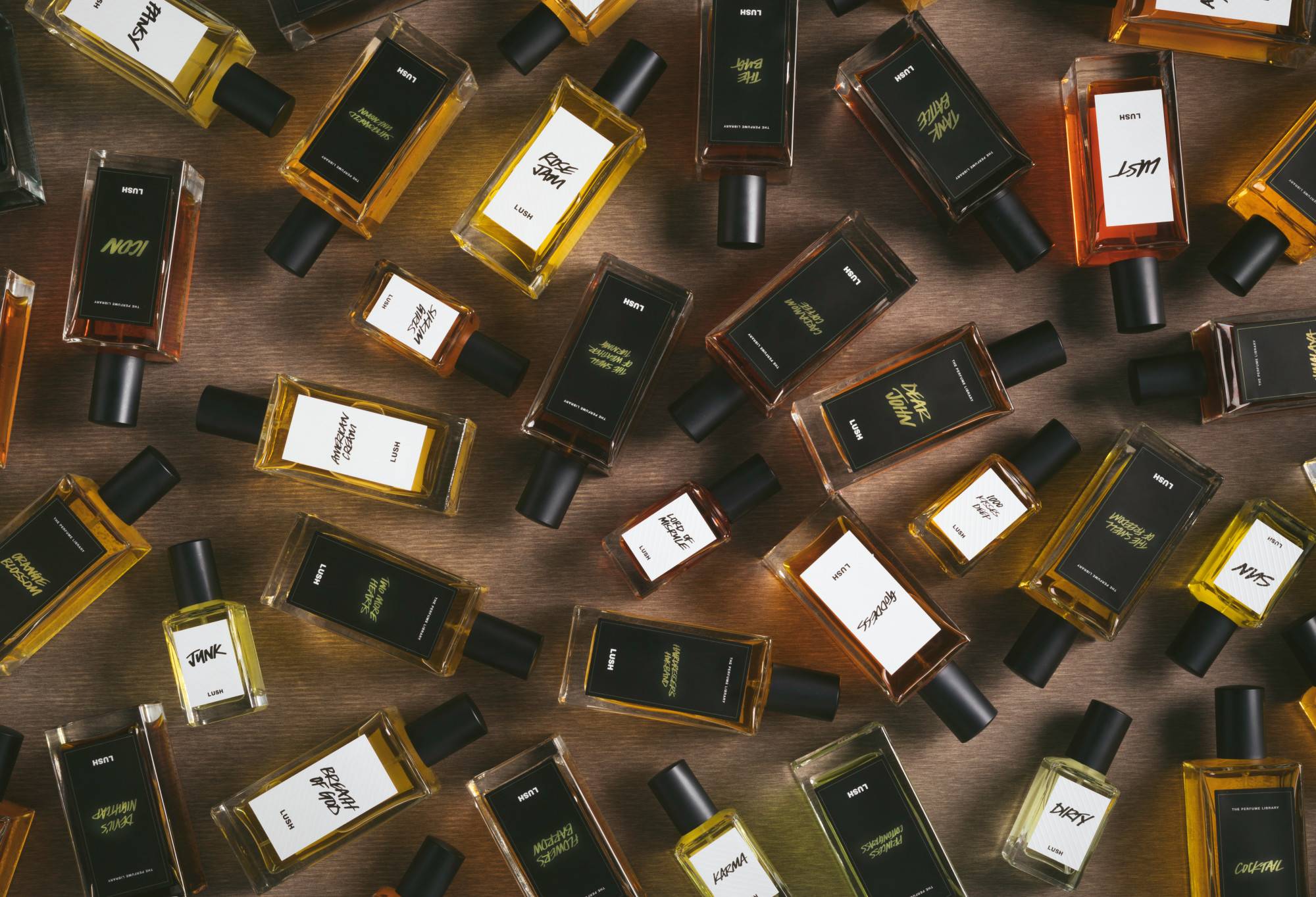 2290CBCB-8053-CB01-E9D2-52E6E618D6D0